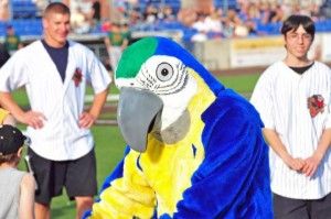 Gilley in Washington wild things game