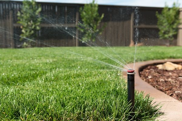 Hose and sprinkler plumbing inspection