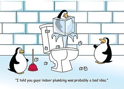 Prevent toilet trouble 