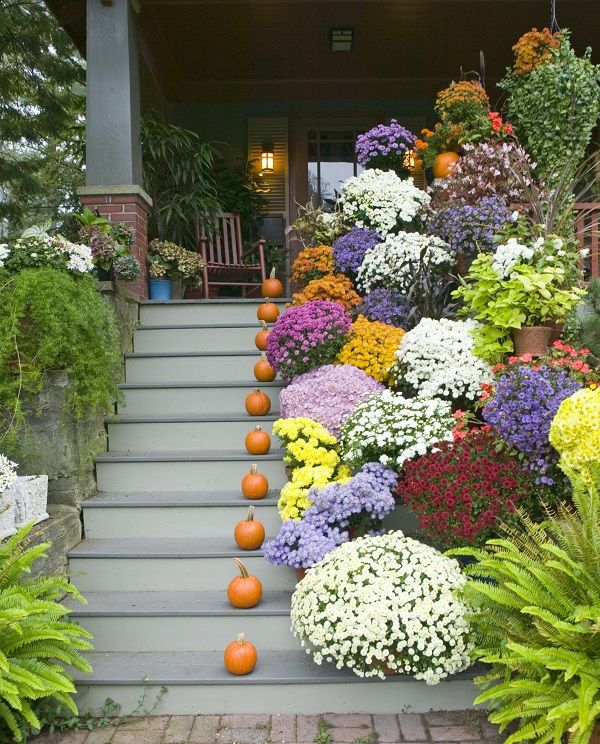 Add plants to boost home's curb appeal