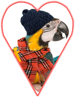 gilley on valentines day