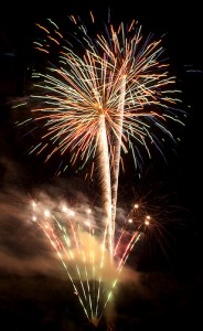 Washington wild things fireworks